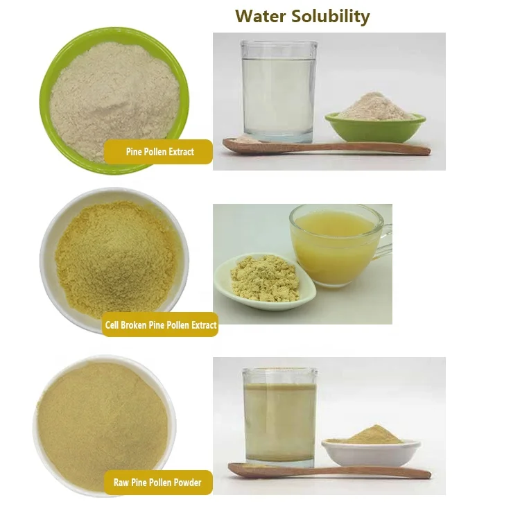 Υγιής ποιότητας Κυτταρικό τοίχωμα σπασμένο πεύκο γύρη χύδην 99% 2