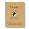 N-05-Gemini