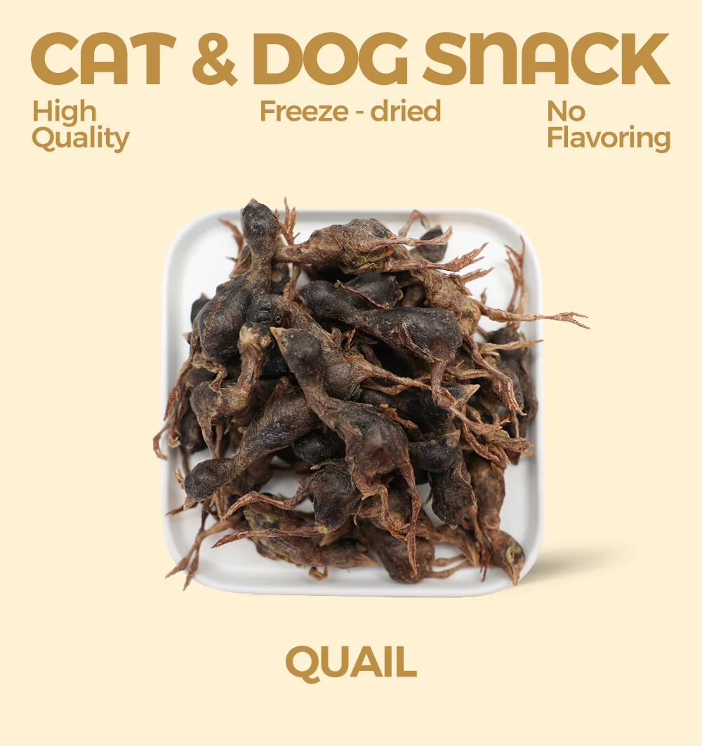 Ranova Freeze Dried Quail Dry Quail Cat Treats Cat Food Buy Pet