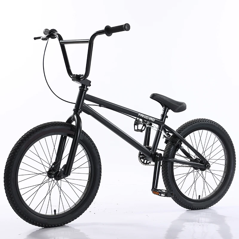 OEM Custom 20 Inch BMX Bike - Chromoly Frame, V-Brake, Various