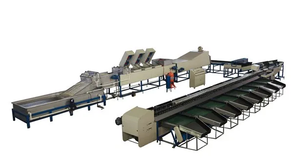 Small Fruit Grading Machine/tomato Grading Machine/cherry Tomato Grading Machine