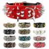 silver spikes Rose Red