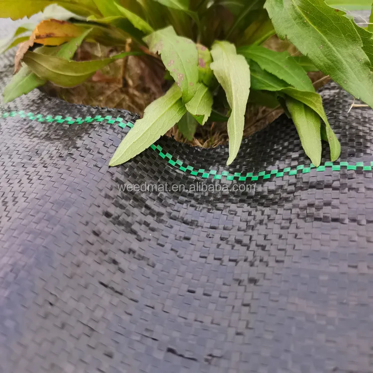 Сельскохозяйственный полипропиленовый/ПЭ тканый коврик для сорняков барьер Ландшафтная ткань наземное покрытие с