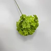 Green2