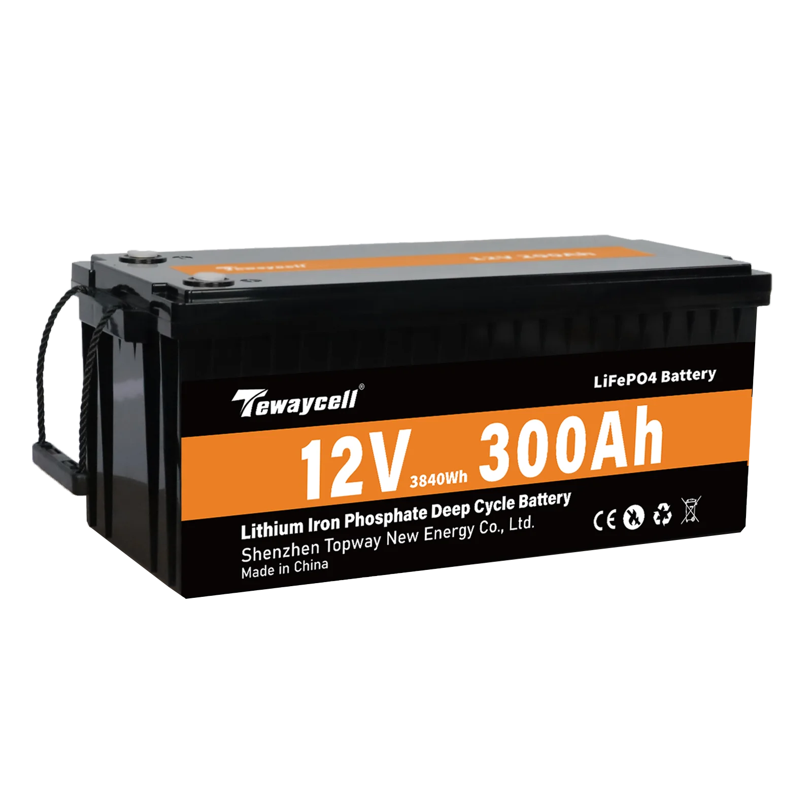 Tewaycell High Capacity LiFePO4 Battery Pack 12V 24V 36V 48V 50ah 100ah 150ah 200ah 300ah for Golf Cart