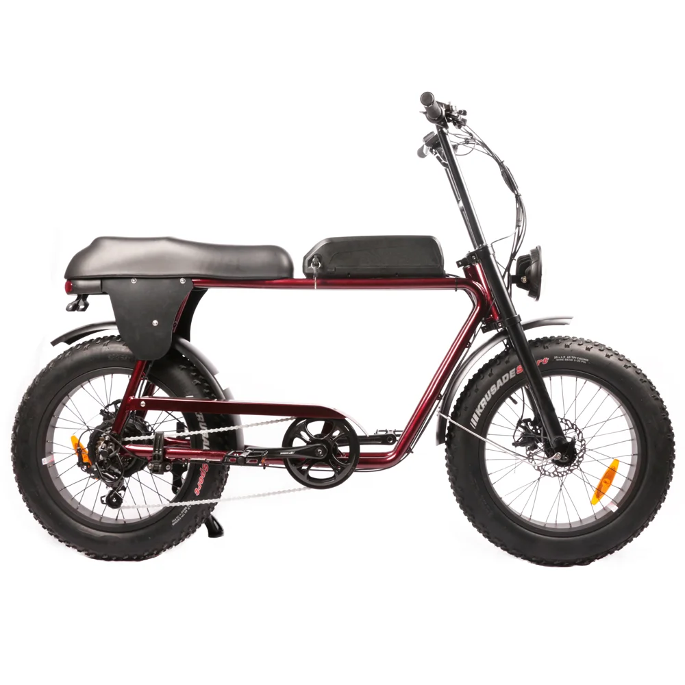 500w Bafang Dual Motor 20 Inch Full 