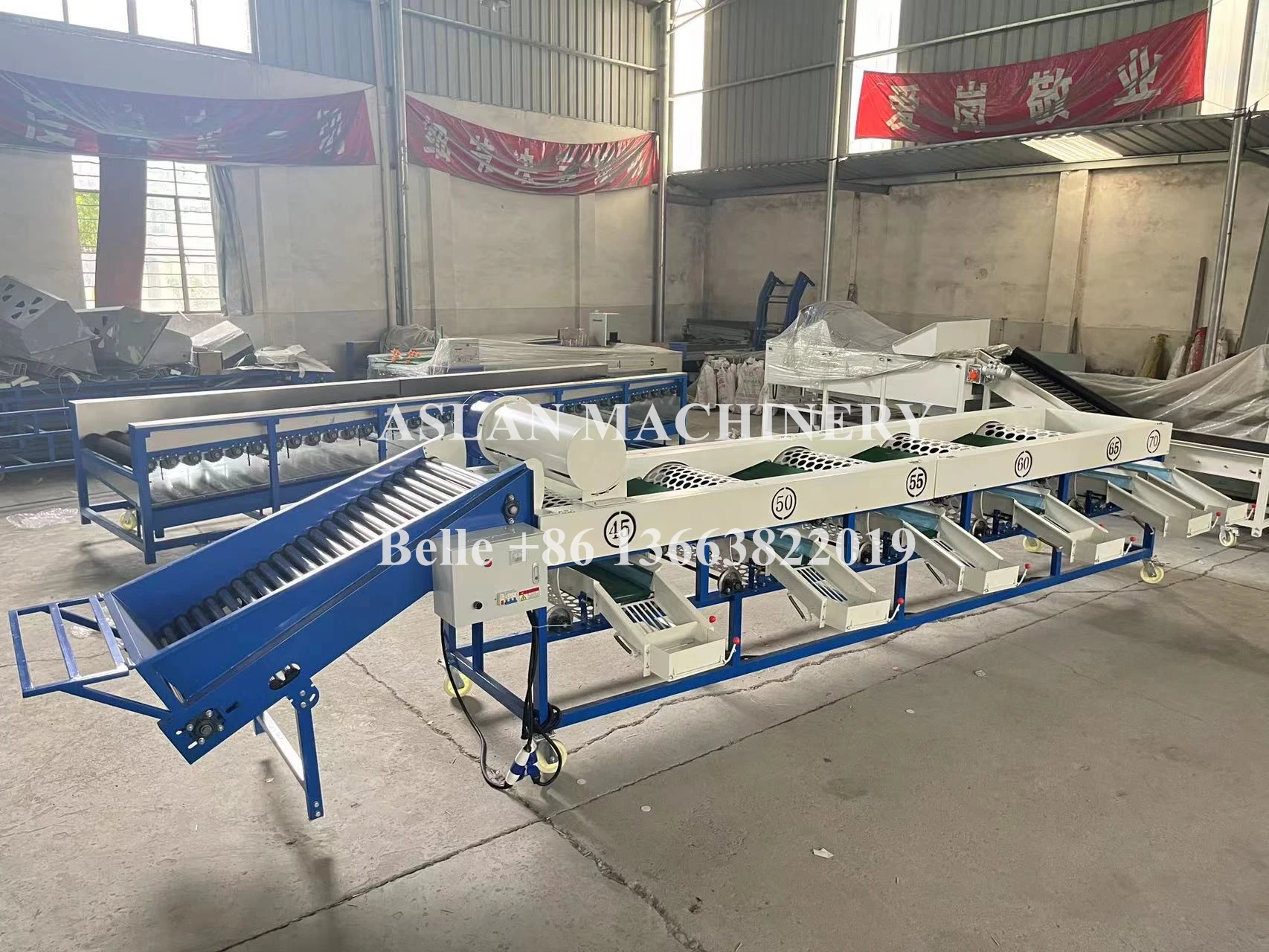Farm Onion Grading Machine Garlic Bulb Grader Sorting Machine Onion Drum Roller Classifier Machine