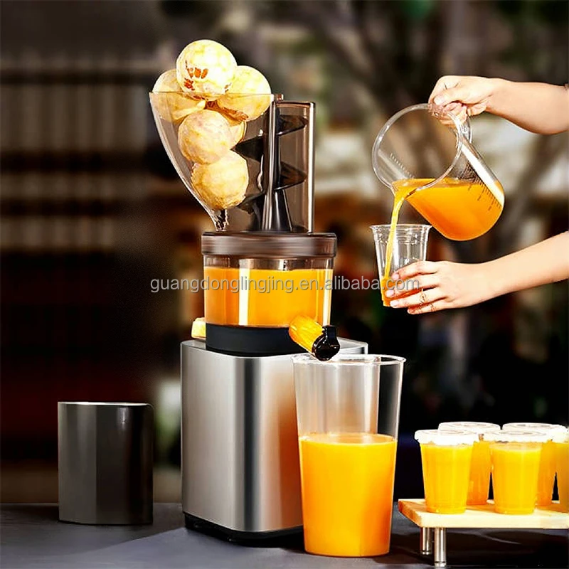 300W Cold Press Juicer Efficient Fresh Juice Extraction