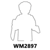 WM2897