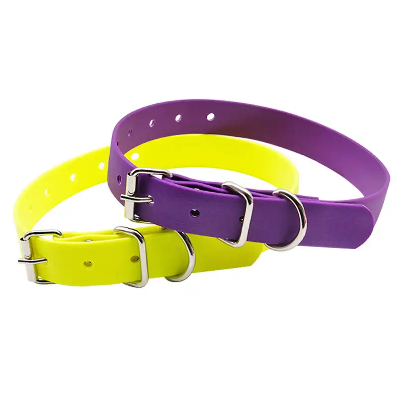 sportdog quick release collar