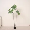 Árbol del Dinero (160 cm)