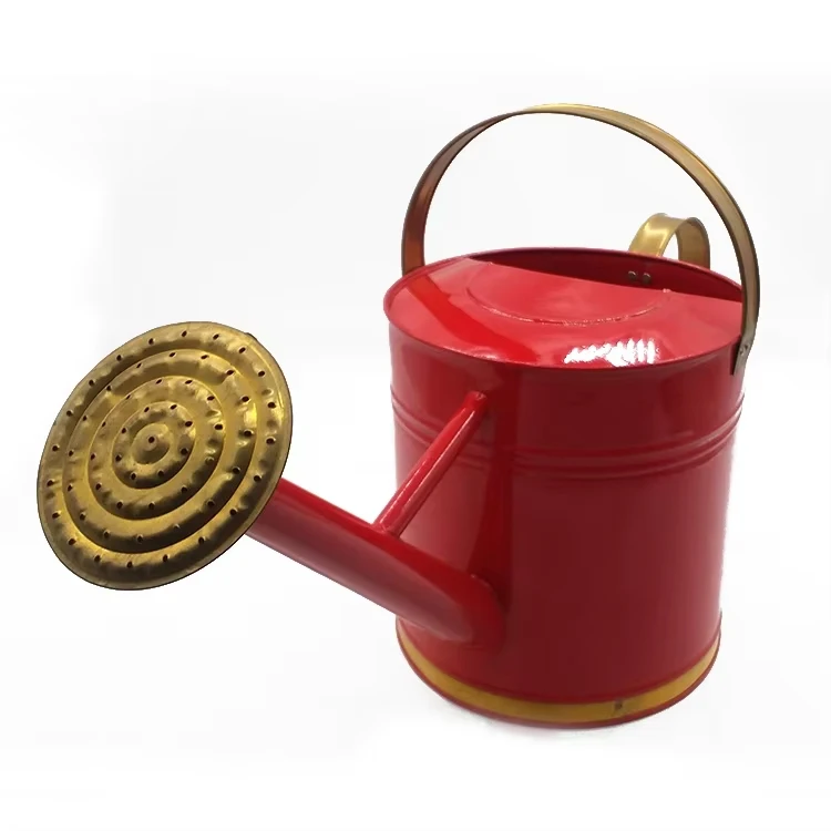 Бытовые инструменты металлические канистры для полива садовых растений и цветов