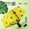 bear yellow