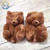 Ours brun foncé