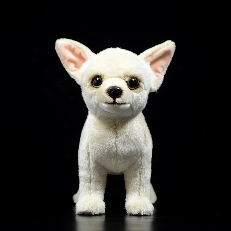 Long Haired Chihuahua Plush Toy Realistic Chihuahua Dog Size 8 Inch - High  Quality Custom Soft Stuff Toys Supplier