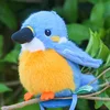 Kingfisher - Attrazione magnetica - Autoportante