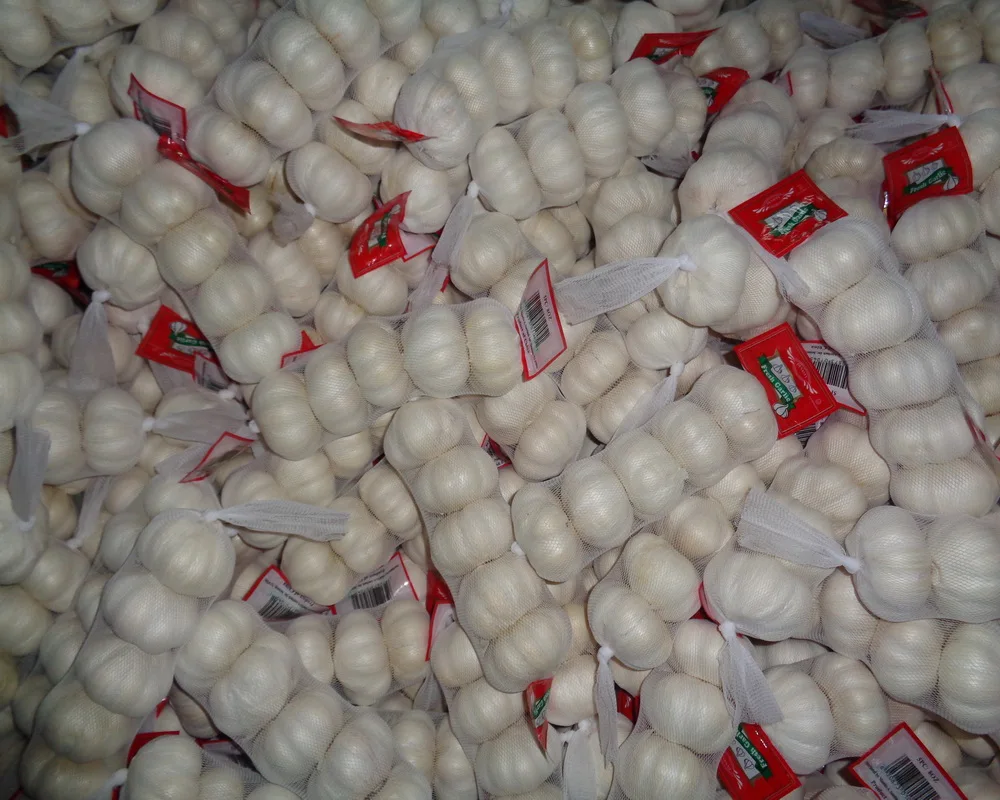 Hot Sale  Wholesale Fresh Garlic Ginger Onion Price -new crop, high quality for export
