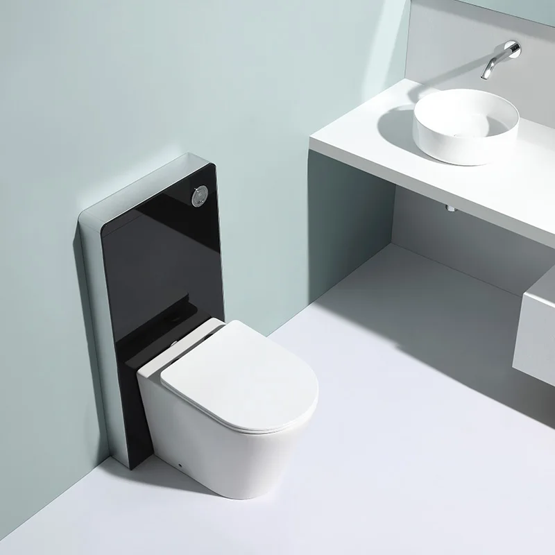 High-performance ceramic wall-mounted lavatory