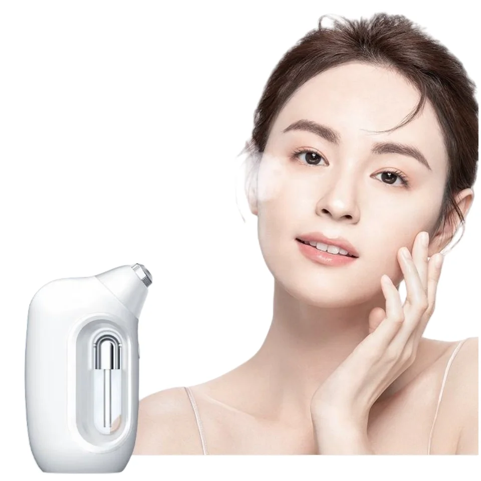 2024 New Style Handheld Nano Facial Spray Hydrating Toner USB Charging Style Hydration Facial Machine Facial Hydratation