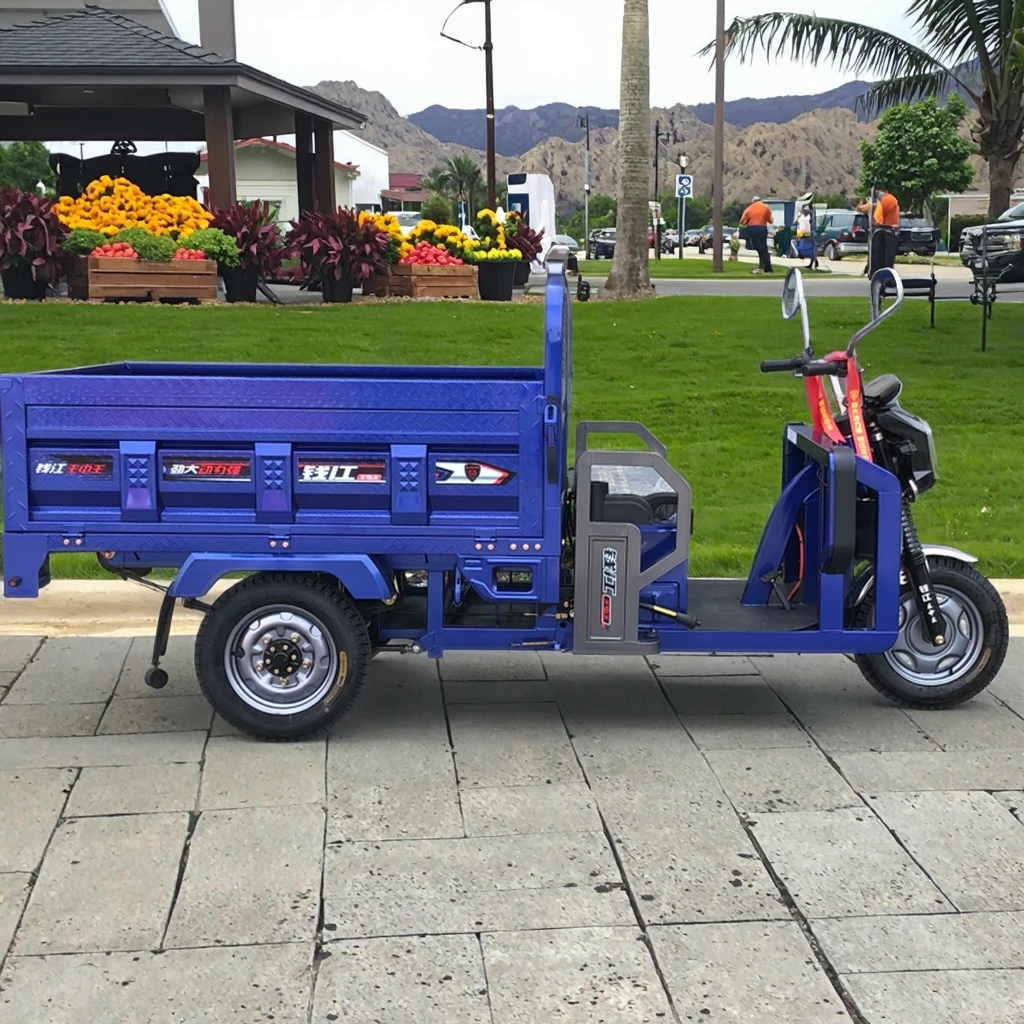 TianYing Brand Strong Durable Farm Cargo Tricycle for Sale