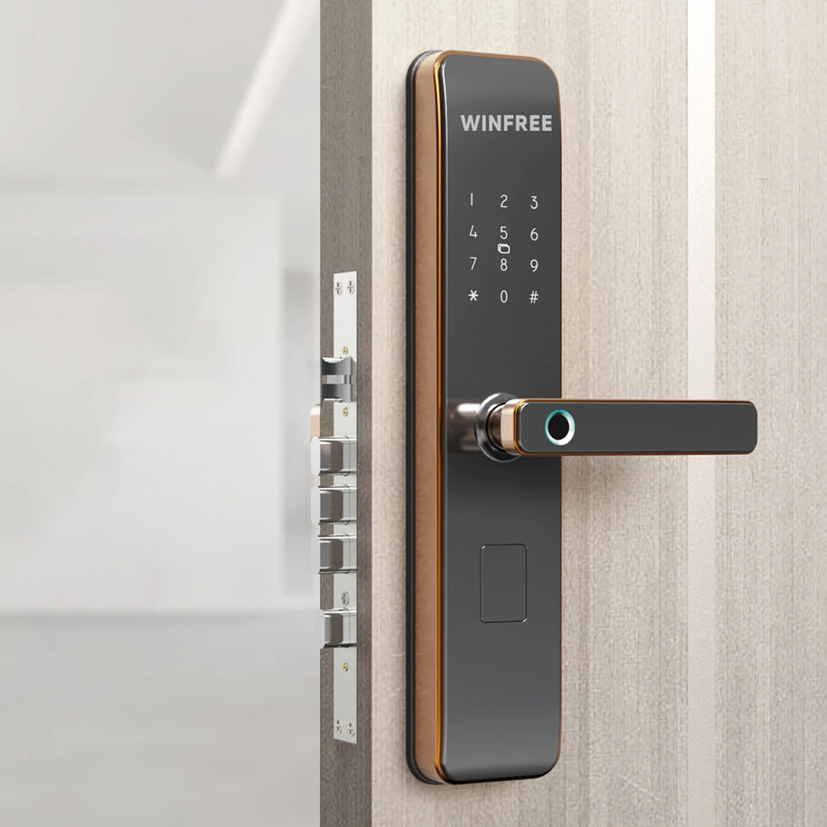 Residential Electronic Biometric Door Lock Cerraduras Inteligentes TT Lock Fingerprint Smart Lock for Home Exterior Door