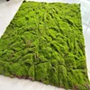 Green-05