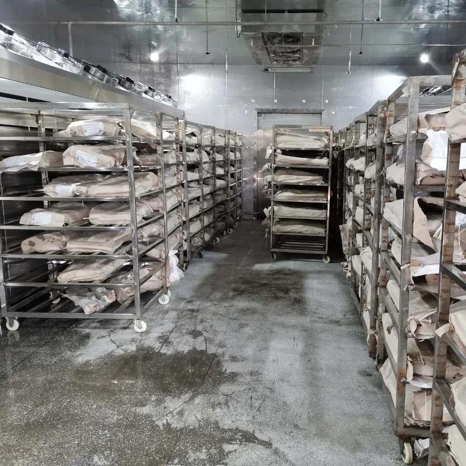 Advanced thawing chamber for frozen food processing with precise temperature and humidity control