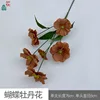 Fleur de pivoine papillon BD marron