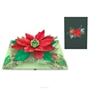 Poinsettia