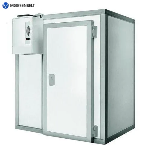 Cold Room and Blast Freezer for Chicken and Beef