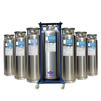 Cryogenic Stainless Steel Vertical Liquid Dewar Cylinder Liquid Oxygen Co2 Nitrogen Helium