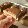Mini Chocolate Milk Biscuit
