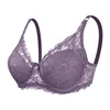 Purple gray