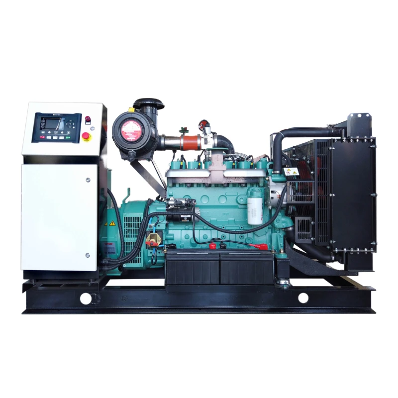 Standby Diesel Generator Power