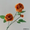 Ranunculus