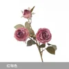 Red Coffee - 3-Headed Royal Rose