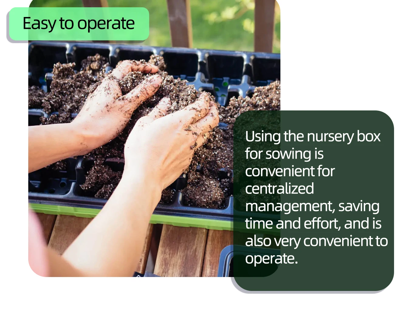 Seedling Tray 200 Cell Vegetable Seeding 3 Gallon Nursery Pots Factory Made Black For Chilean