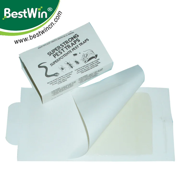 BSTW Professional Adhesive Factory Direct Selling Safe Rat Mouse Trap Glue Pest Control Sticky Traps