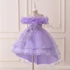 สีม่วง2