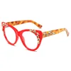 Leopardo rosso