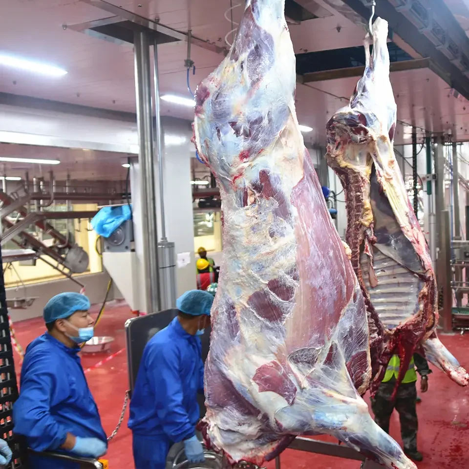 Supply of cattle halal dumping box spin killing box slaughtering equipment