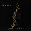 SKU-01   สคู-01