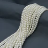 8mm GD111 620 Cream(5pcs/bag)