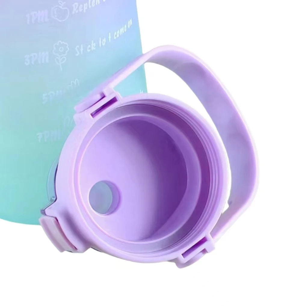 Outdoor Plastic Tour Bottle Vacuum Insulated Space Cup With Handle