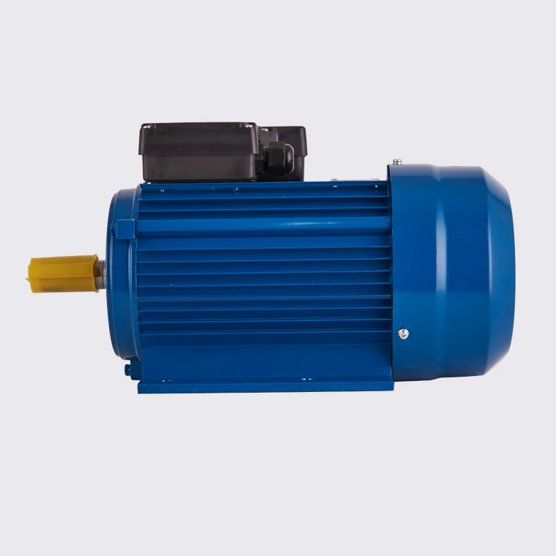 220V Single Phase Capacitor Start AC Induction Motor Waterproof Enclosed 50/60Hz Frequency Asynchronous Motor