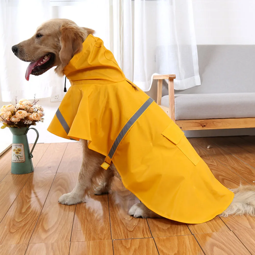 golden retriever rain jacket