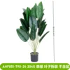 AHF851-790-24