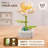Camellia