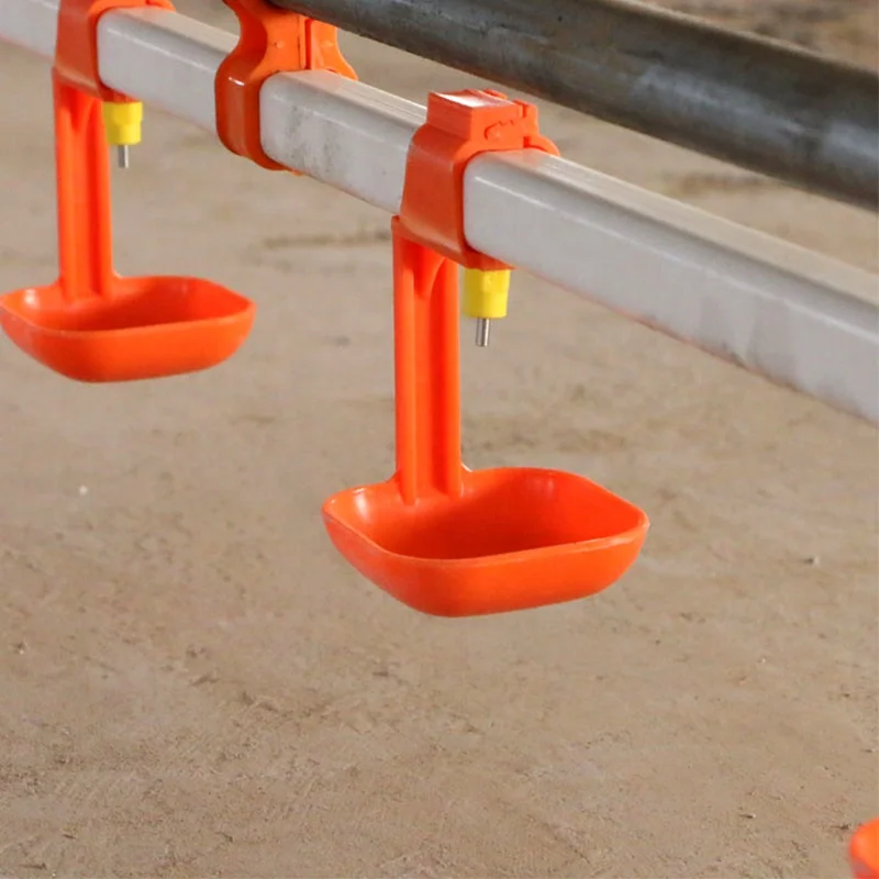 Agrieso 360 Degree Out Automatic Poultry Drinking System Nipples Chicken Poultry Drinker Line With Cup Price for Broiler Chicks