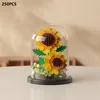 tournesol